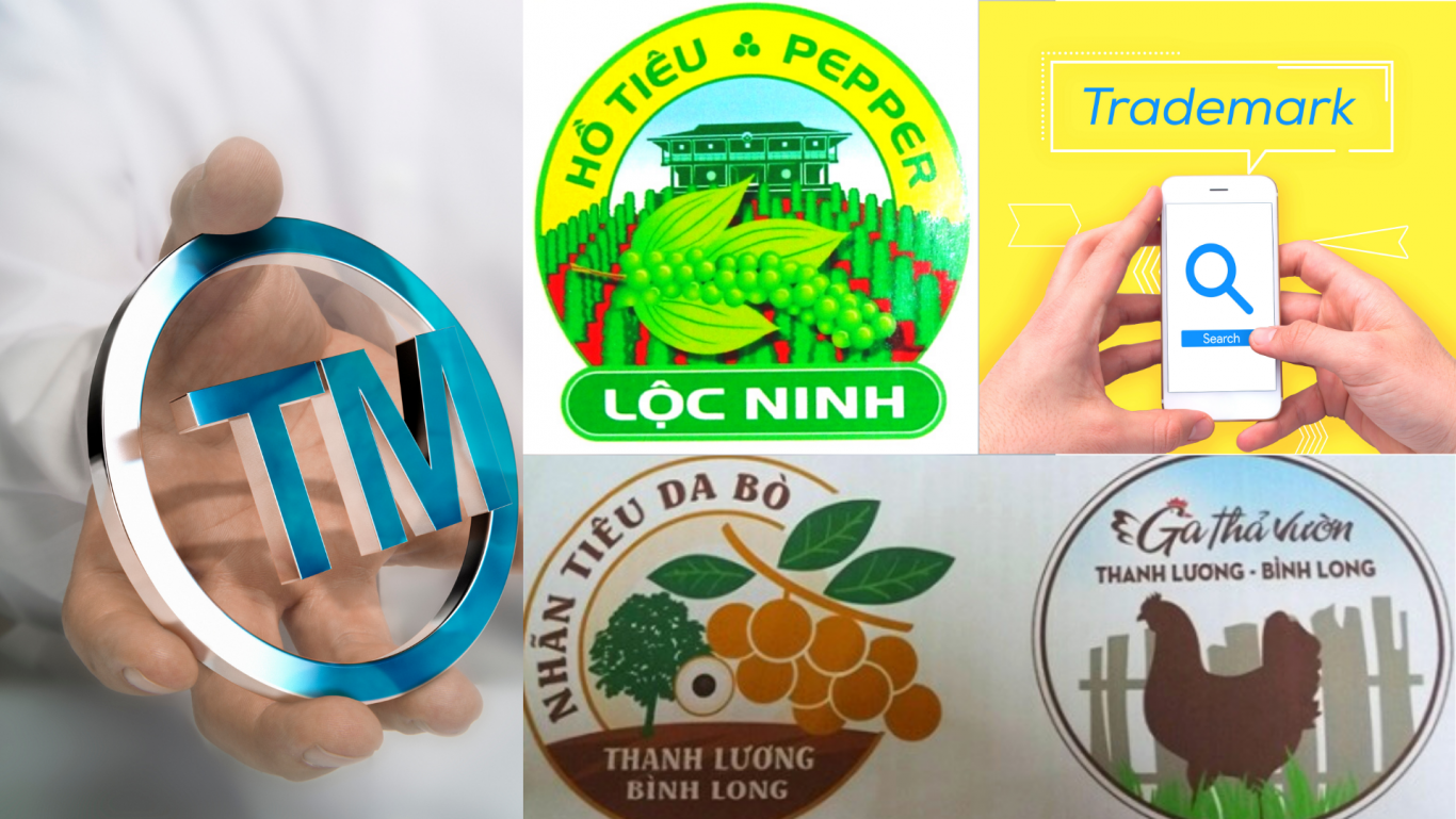 Nhãn hiệu tập thể là gì?