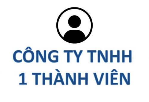 Mô hình quản lý công ty TNHH một thành viên như thế nào?