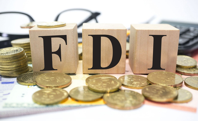 Có các hình thức FDI nào?